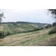 FARMHOUSE TO BE RENOVATED WITH LAND FOR SALE IN LAPEDONA, SURROUNDED BY SWEET HILLS IN THE MARCHE province in the province of Fermo in the Marche region in Italy in Le Marche_22